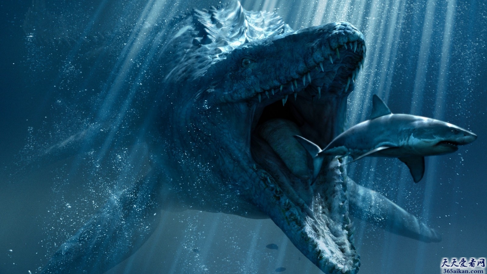 恐龙时代，海洋中的霸主沧龙介绍