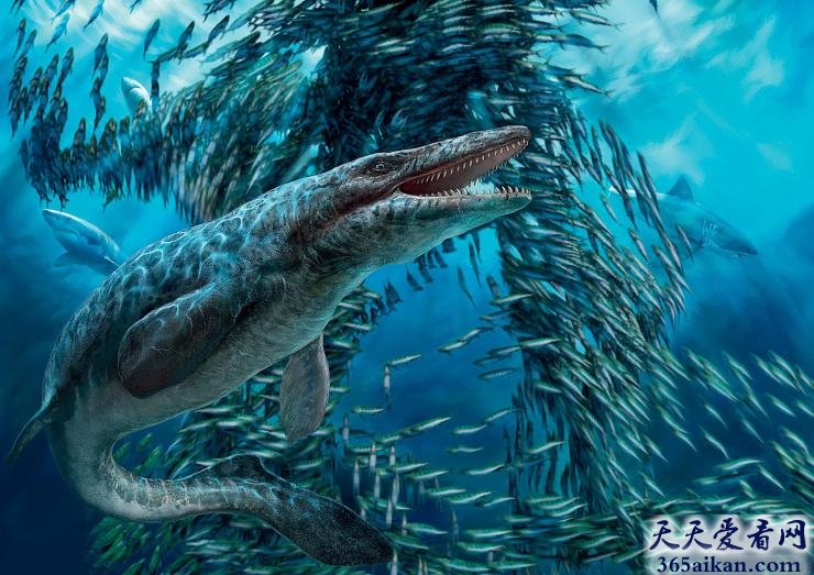 恐龙时代，海洋中的霸主沧龙介绍