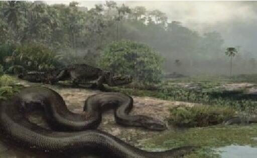 揭秘史前最恐怖的动物：史前巨蟒，可吞食恐龙！