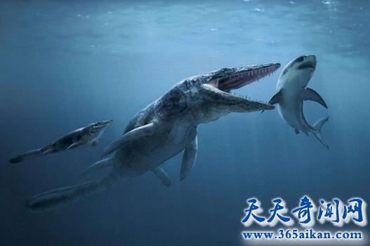 远古海洋最顶级掠食者：邓氏鱼，一口能将鲨鱼咬成两半！