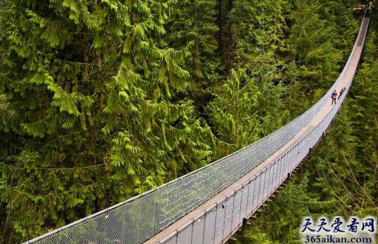 树梢漫步：世界上最长最高的吊桥是哪个？