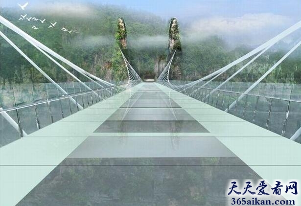 玻璃桥.jpg