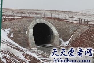 世界上最长的高原冻土隧道是哪个？