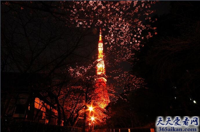 全球最高的自立式铁塔：东京铁塔