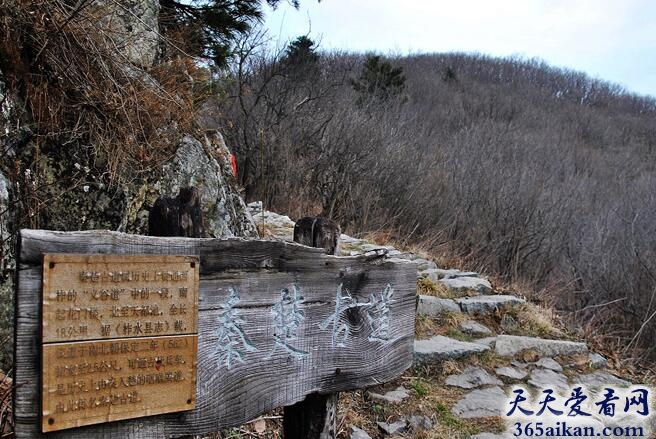中国十大最美古道