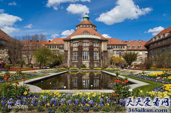 慕尼黑大学.jpg
