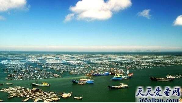 中国最大的渔场：舟山渔场