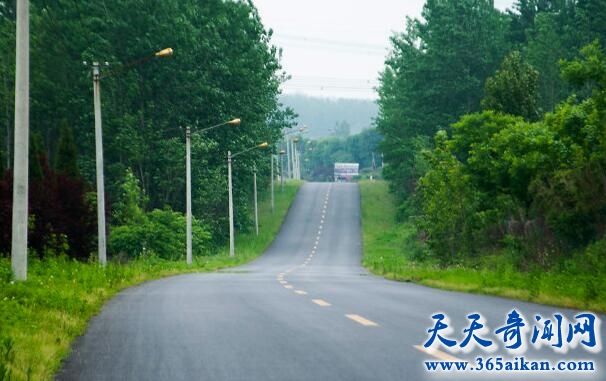 探索合肥最美乡村公路，绿色和道路的完美结合！