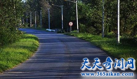 探索合肥最美乡村公路，绿色和道路的完美结合！