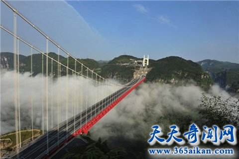 矮寨特大悬索桥打破世界纪录，矮寨特大悬索桥的建造史！