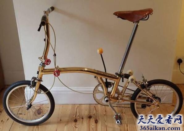 Golden Brompton 折叠自行车.jpg