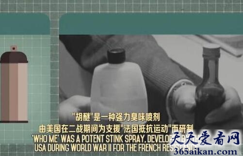 细数人类历史上哪些看起来厉害却并无卵用的武器是哪些？