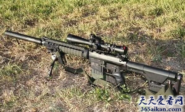 SR25狙击步枪