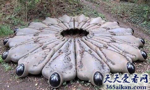 揭秘搜寻外星人的方法有哪些？