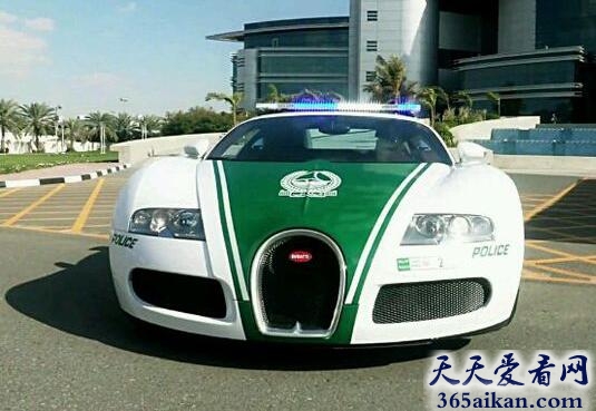 迪拜警车.jpg