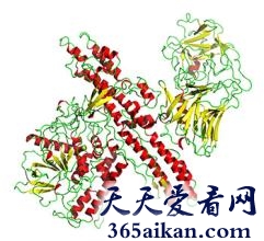 盘点世界上最毒的物质有哪些？世界上最毒的物质介绍