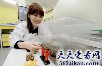 世界上最奇葩的国度，日本女科学家被邀拍av酬劳千万 