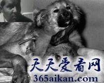 细数全球最疯狂的十大科学家是哪些？全球最疯狂的十大科学家图文介绍