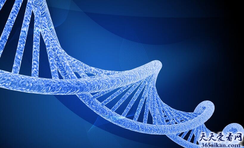 探索世界上最古老的人类基因测试，科学家对万年前人骨进行基因研究