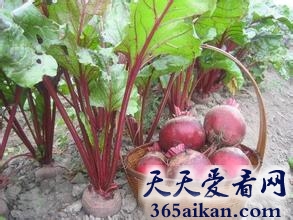 盘点在西方人眼里最健康的50种食物是哪些？让您能合理搭配您的膳食