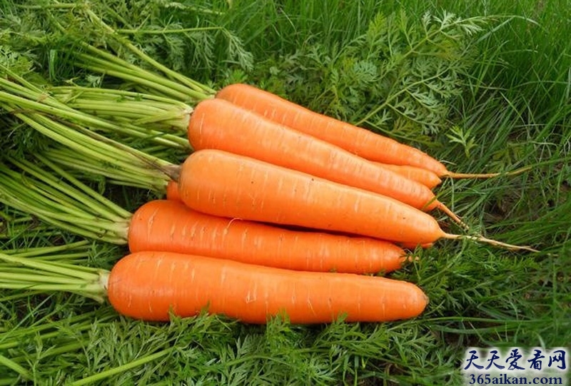 盘点在西方人眼里最健康的50种食物是哪些？让您能合理搭配您的膳食