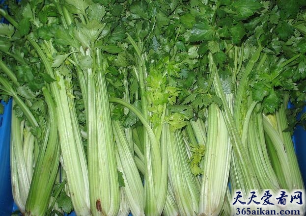 盘点在西方人眼里最健康的50种食物是哪些？让您能合理搭配您的膳食