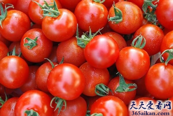 盘点在西方人眼里最健康的50种食物是哪些？让您能合理搭配您的膳食
