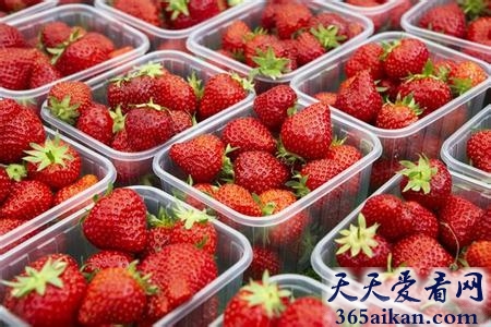 盘点在西方人眼里最健康的50种食物是哪些？让您能合理搭配您的膳食