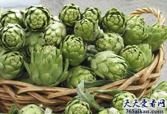 盘点在西方人眼里最健康的50种食物是哪些？让您能合理搭配您的膳食