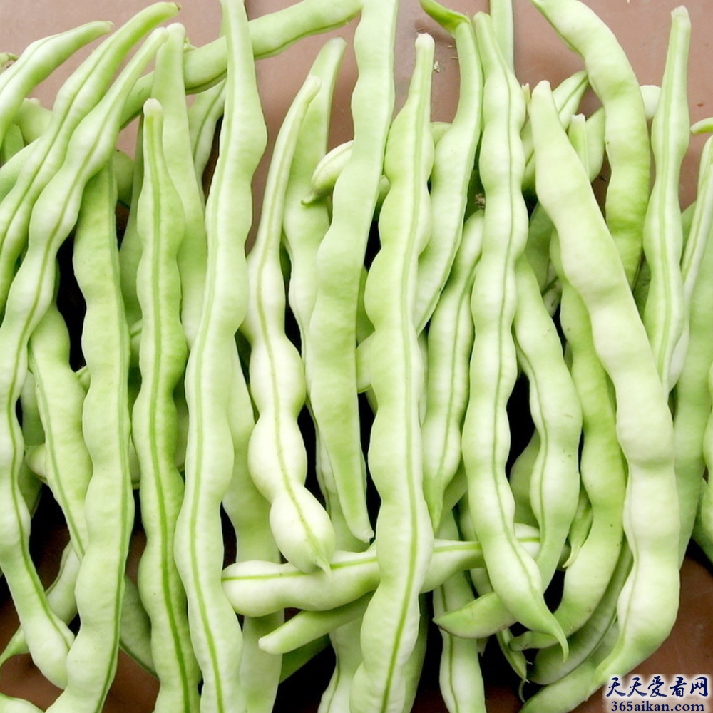 盘点在西方人眼里最健康的50种食物是哪些？让您能合理搭配您的膳食