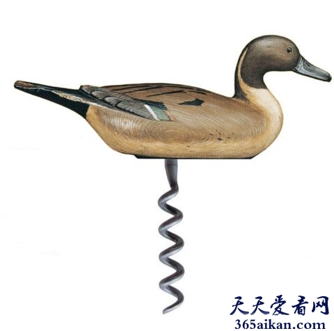 盘点动物界的各种丁丁，尺寸惊人、千奇百怪的形状，看完后不禁感叹人类果然不如禽兽的！