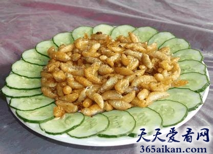 世界上最恶心的食品，荷兰超市开卖昆虫食品