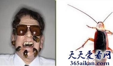 细数全球最奇葩的十大世界纪录是哪些？全球最奇葩的十大世界纪录介绍