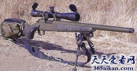 美国Tango 51狙击步枪