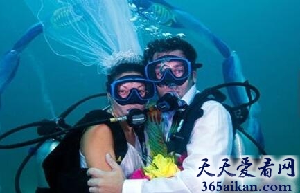 器械潜水婚礼方式