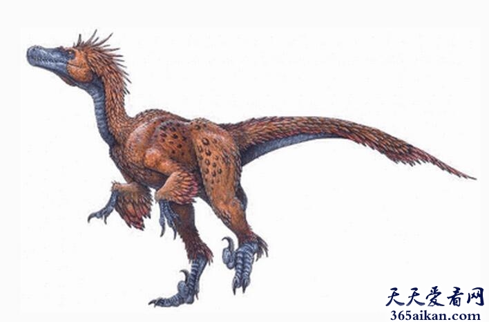 史上爪子最厉害的恐龙——恐爪龙