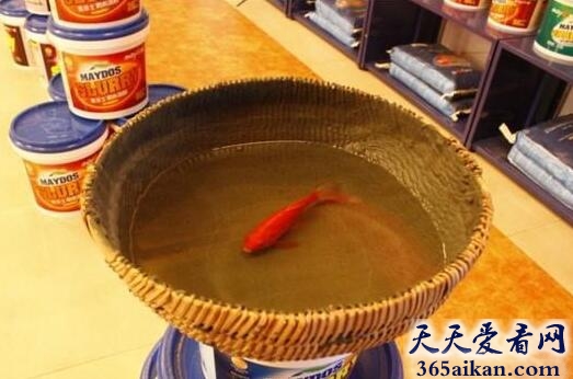 竹篮打水.jpg