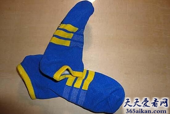 一年四季一双袜.jpg