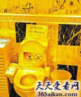 世界上最贵的厕所有多贵？世界上最贵的厕所介绍