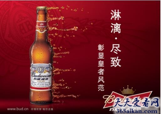 百威英博.jpg