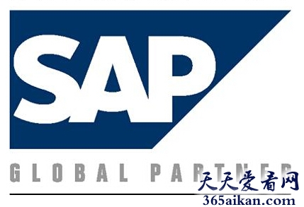 世界上最大的企业应用软件供应商——SAP公司