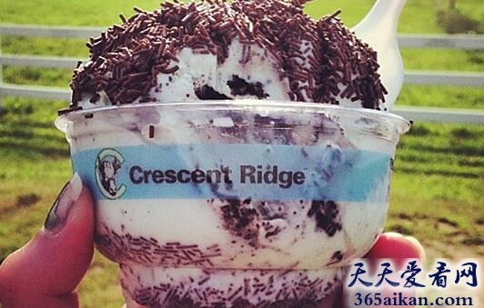 美国马萨诸塞州沙伦市的CRESCENT RIDGE DAIRY美味冰淇淋