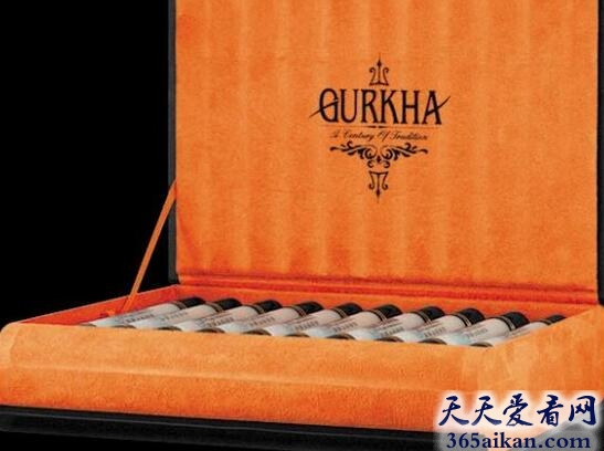 Gurkha Black Dragon雪茄