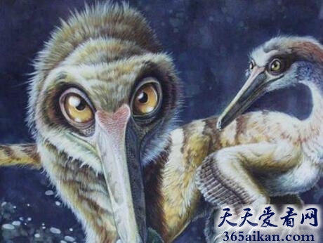 奔龙