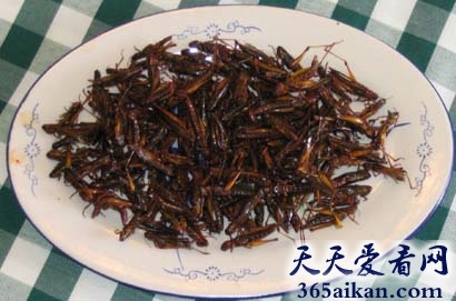 细数在外国人眼中绝对不敢吃的亚洲美食有哪些？