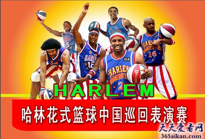 世界上最受欢迎的篮球队:哈林篮球队