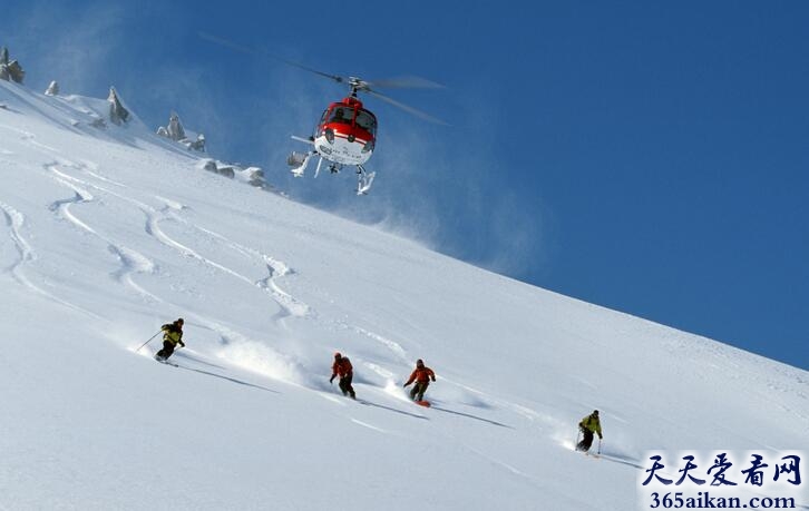 直升机滑雪.jpg
