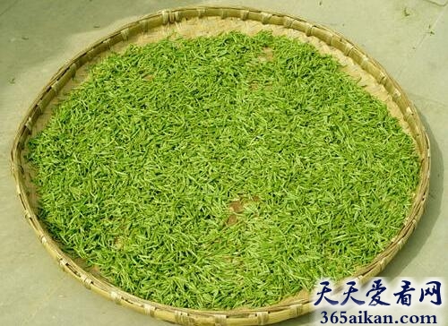 民族文化！中国六大茶类大盘点