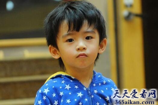 盘点身价最高的十大明星宝贝，1000万港元身价亮瞎眼！