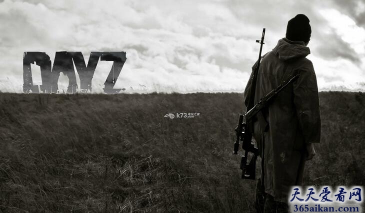 DayZ
